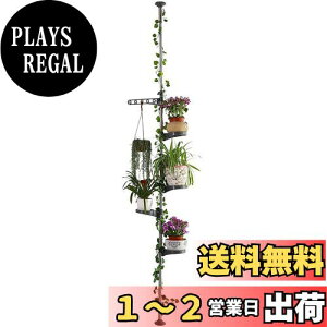 yzBAOYOUNI ˂莮 v^[X^h t[X^h |bN R[i[~̓X^h AX^h AI ԑ  ԒuI ϗtA u  5i 230-