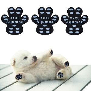 yzAqumax 48 ~ pbh   pbh  ybg CS͂ ~  ی h~ ׂ ~ tbg  p pbh-d؂̏犊藎̂hgNV