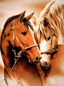 yzReofrey _Ch̊G n, _ChA[g NXXeb` Lbg , Lbg Sʓ\t^Cv r[YA DIY |Lbgz[ Xg CXg[ 