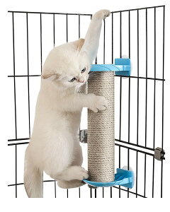 yzSensaBliss L܂Ƃ|[ ܌|[ L ܌ VRTCU L ܂݂ XgX ^s΍ ߂Ƃ ܌ ܂Ƃ XNb`|[ cu^ g