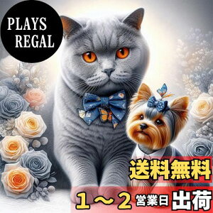 yzJISHSHAY _ChA[g Lbg DIY _ChA[g L lC r[YA[g  |Lbg 5D _ChA[g  GLbg Lbg _ChA[g Lƌ 