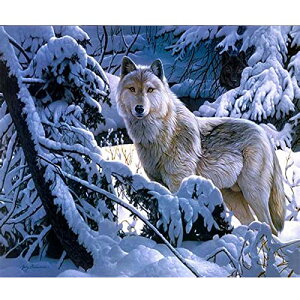 yzDIYNXXeb`Lbg_ChG5DhLbgA~̐TWOWDECORthDIY_ChA[gyCgG (T)