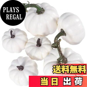 yznEB[ ڂ lZZbgC~e[V 蕨 lHZ DIY ` ݌v u UpvL pvL J{`fR[V ʐ^ 