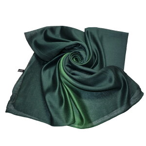 yz[JL] Xg[ 唻  XJ[t VN }t[  V[  H ~ v[g (VF12)