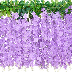 yzLakymisy ̉ 2{  K[h  ӂ̂͂ 10}/{  VN t̏ 뉀 ԗ ̓ ʐ^Be Ǌ| ԏ Xܑp  p[eB[