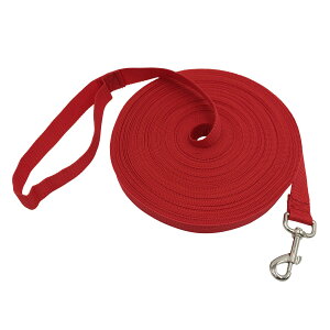 yzIׂ F TCY ybg ̂  g[jO ^ O[h i07  30mj