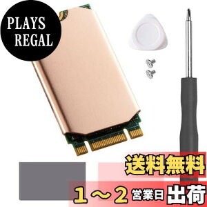 yzHaojiaho M.2 2242 NVME SSDp q[gVN  Mpbht Nvme2242 \bh Xe[g hCu WG[^[ CLbg