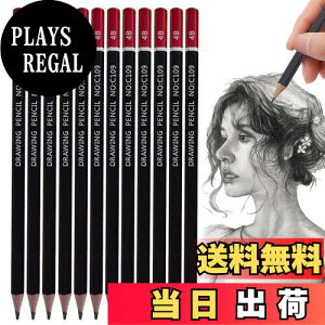 【送料無料】PAVIKE 書き方鉛筆 4b 書きやすい 12本セット 太芯 硬筆書写用かきかた鉛筆 デッサン用鉛筆丈夫で芯が折れにくい 六角軸 絵画 スケッチ 描画 学生や専門家のためのアーティスト鉛