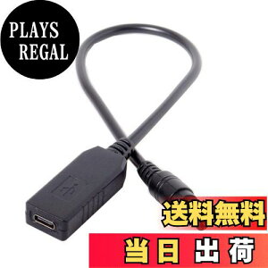 yzbvgbvpCY USB 3.1^CvC USB-C - DC 20V 5.5 2.5mm2.1mmvOPDG~[^gKP[u