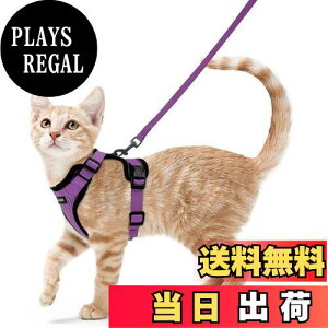 【送料無料】Rabbitgoo 猫 ハーネス リード セット 抜けない 猫用ハーネス ソフト軽量 犬猫兼用 超小型犬 小型犬 散歩 災害避難 はーねす りーど 足を上げず装着完成 サイズ調節可 夜反射 通気