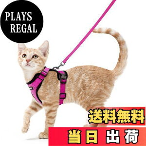 【送料無料】Rabbitgoo 猫 ハーネス リード セット 抜けない 猫用ハーネス ソフト軽量 犬猫兼用 超小型犬 小型犬 散歩 災害避難 はーねす りーど 足を上げず装着完成 サイズ調節可 夜反射 通気
