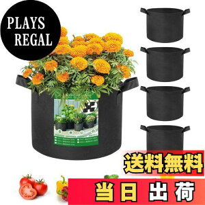 yzX XBEN sDz v^[ 300GsDz|bg z ꂽD 5 5K(19L) tFg A Aؔ DIY | K[f  ؍͔| A琬 | ƒ؉ u