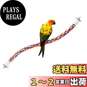 yzLiroyal CR ~܂ IE [vp[`  P[WANZT[ ܂𖁂  p[` ybgpi  xݏꏊ ފߋ [v P[Wp uR pi60cmj 