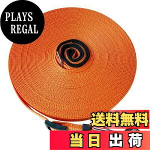 yzp[h O [v  ^E^E^p PEp U Ro ɕ iC v  WP[u (20m, IW)