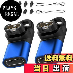yzGarmin(K[~)pϊA_v^[i2j L^Type-CΉ + hovO [d|[gpi10jTPUf X}[gEIb`ϊA_v^[ K[~p ϊA_v^[ USB Type C ϊA_