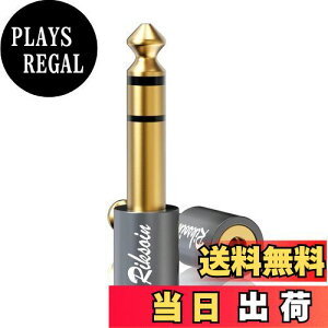 yz3.5mm  6.35mm ϊ vO RIKSOIN (2Zbg) XeI~jvO (X)  XeIWvO (IX) CzWbN ϊ 24KbL wbhzAAvAdqsAmɓK