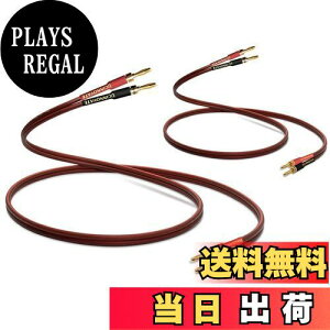 yzyUCINNOVATEzOFC_f Xs[J[P[u oiivOt 2{1g oiivOH vO Xs[J[ P[u i 600c(x2) Banana Plugn_ς oiivO 