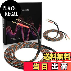 yzUCINNOVATE 3m/2{g Xs[J[P[uH Xs[J[^[~ipvOAsvO/jvOɕϊ ߂oiiXs[J[ I[fBIAv TuE[t@[p