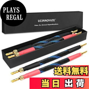 yzyUCINNOVATEz 4{ Xs[J[ Wp[P[u HIFI Xs[J[P[u 24kbL oiivOA ɂȂ₩Ŏg₷Aコ