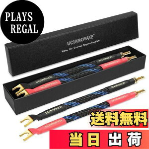 yzyUCINNOVATEz 4{ Xs[J[ Wp[P[u HIFI Xs[J[P[u 24kbL Y^vOA ɂȂ₩Ŏg₷Aコ