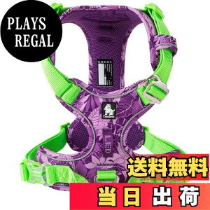 yzcocomall TRUE LOVE̔X 2020V^ pn[lX p hbO ybgpi n[lX 3Mˍޗ P iC ^A^A^Ɍ ʋC ߉\ (XS, purple&green)