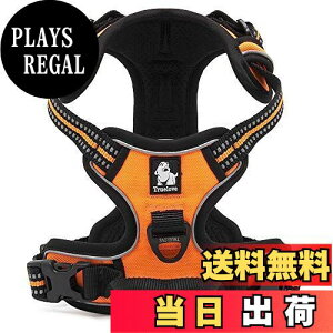 yzcocomall pn[lX p hbO ybgpi n[lX 3Mˍޗ P iC ^A^A^Ɍ ʋC ߉\ (XS, IW)