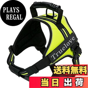 yzcocomall 2WAYAɗDn[lX Sypn[lX TRUE LOVE{X p hbO ybgpi n[lX[h 3Mˍޗ P iCf ^A^A^