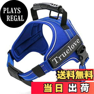 yzcocomall 2WAYAɗDn[lX Sypn[lX TRUE LOVE{X p hbO ybgpi n[lX[h 3Mˍޗ P iCf ^A^A^