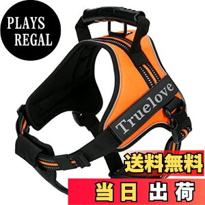 yzcocomall 2WAYAɗDn[lX Sypn[lX TRUE LOVE{X p hbO ybgpi n[lX[h 3Mˍޗ P iCf ^A^A^