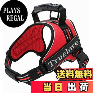 yzcocomall 2WAYAɗDn[lX Sypn[lX TRUE LOVE{X p hbO ybgpi n[lX[h 3Mˍޗ P iCf ^A^A^