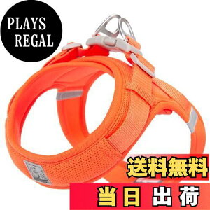 yzcocomall AɗDn[lX 2023ŐV TRUE LOVE{X pn[lX p hbO ybgpi n[lX[h 3Mˍޗ P iC ^A^A^Ɍ 