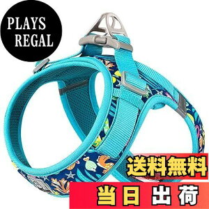 yzcocomall AɗDn[lX 2023ŐV TRUE LOVE{X pn[lX p hbO ybgpi n[lX[h 3Mˍޗ P iC ^A^A^Ɍ 