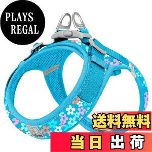 yzcocomall AɗDn[lX 2023ŐV TRUE LOVE{X pn[lX p hbO ybgpi n[lX[h 3Mˍޗ P iC ^A^A^Ɍ 