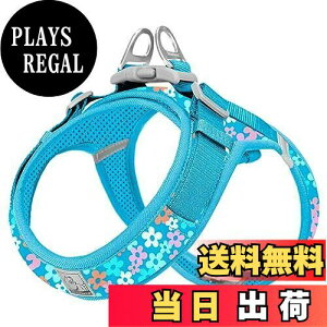 yzcocomall AɗDn[lX 2023ŐV TRUE LOVE{X pn[lX p hbO ybgpi n[lX[h 3Mˍޗ P iC ^A^A^Ɍ 