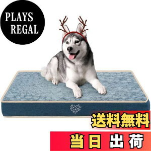 yzVANKEAN hbO}bgAxbhAybgxbhAʋCAAhAo[VuAO\A@Ő􂦂ApA^pA^pAlCr[/O[ 