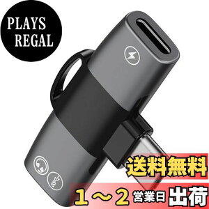 yzyiPhone 16/15 V[YΉz 2in1 ^CvC Czϊ A_v^ Topamz yȂ[dł Type-C to fAUSB-C CzWbN PD 100W}[d DAC Hi-Fi ʘb/ʒ