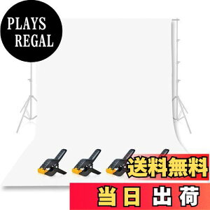 yzEMART wiz z Be wi XN[ z z 300cmx360cm  Rcgn wi v z[Ή ʐ^Be X^WIwi XN[V[g wiV[g wiX^h  