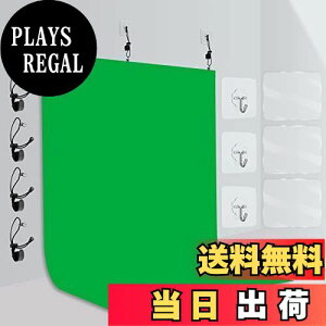 yzEMART wiz O[obN O[XN[260cm×300cm 傫  n wi obNOEh |GXen s Ռ  ubNXN[ wiV[g |[