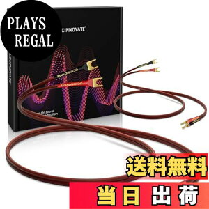 yzUCINNOVATE HiFi OFCXs[J[P[u oiivOWp[Xy[hAoiivOUtH[NvO14AWGXs[J[C[R[hAXs[J[AvpWp[u