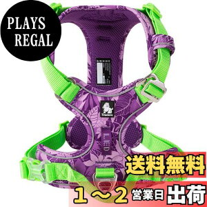 yzcocomall TRUE LOVE̔X 2020V^ pn[lX p hbO ybgpi n[lX 3Mˍޗ P iC ^A^A^Ɍ ʋC ߉\ (L, purple&green)