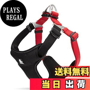 yzcocomall TRUE LOVE̔X pn[lX p hbO ybgpi n[lX[h 3Mˍޗ P iC ^A^A^Ɍ ʋC ߉\ (S, bh)