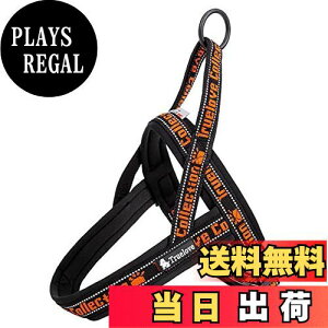 yzcocomall AɗDn[lX 2022ŐV TRUE LOVE{X pn[lX p hbO ybgpi n[lX[h 3Mˍޗ P lIvf ^A^A^Ɍ