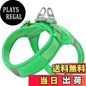 yzcocomall AɗDn[lX 2023ŐV TRUE LOVE{X pn[lX p hbO ybgpi n[lX[h 3Mˍޗ P iC ^A^A^Ɍ 