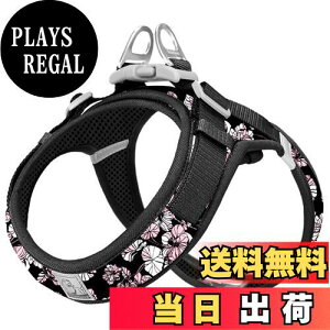 yzcocomall AɗDn[lX 2023ŐV TRUE LOVE{X pn[lX p hbO ybgpi n[lX[h 3Mˍޗ P iC ^A^A^Ɍ 