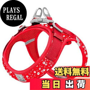 yzcocomall AɗDn[lX 2023ŐV TRUE LOVE{X pn[lX p hbO ybgpi n[lX[h 3Mˍޗ P iC ^A^A^Ɍ 