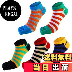 yz[fX] 5{w\bNX C 24-28cm Y ܖ{w\bNX rWlX\bNX VR z RۖhL X|[c\bNX 5Zbg