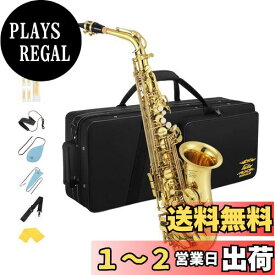 Eastar アルトサックス E Saxophone ゴールドラッカー サクソフォン ケース付き お手入れセット クリスマス(演奏用) AS-3