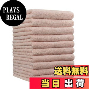 yzEtech tFCX^I zedl ʋC z }CNt@Co[ 10Zbg ɗD ӂӂ _炩G ϋv n (sN)