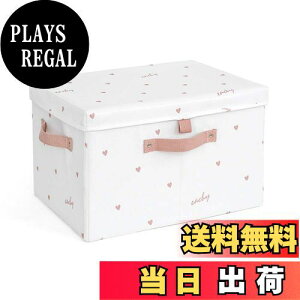 yzNEOVIVA [{bNX ӂt ܂肽 킢 [P[X ߗ [   [oXPbg e ϋv zCg S