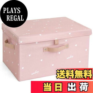 yzNEOVIVA [{bNX ӂt ܂肽 킢 4TCY [P[X ߗ [   [oXPbg e ϋv sN XL